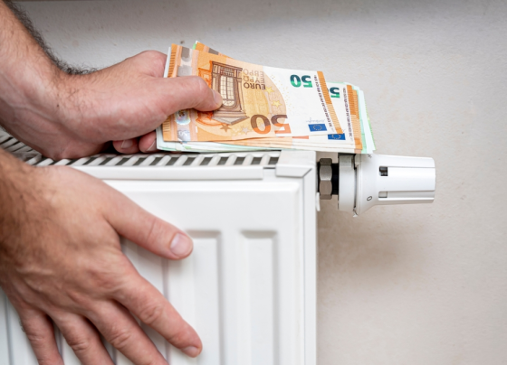 Kritik an der Entscheidung zum Heizungsgesetz